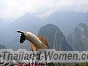Machu-Picchu-009
