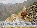 Machu-Picchu-020